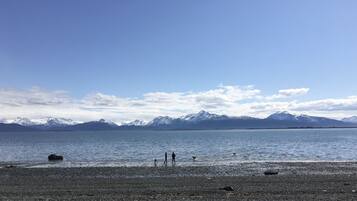 ビーチ、サンラウンジャー