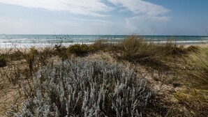 Ein Strand mit Dünen und vereinzelter Vegetation.