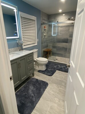 Combined shower/tub, hair dryer, towels, toilet paper