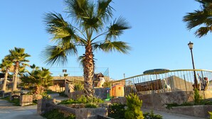 A pathway lined with palm trees and a fenced area with a carousel. - Jacuzzi Pool Spa Ocean View 4bd 5ba House (El Sauzal)