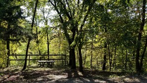 Une zone boisée avec une table de pique-nique et une clôture en bois.