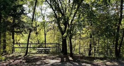 Rural, beautiful studio cabin # 9 near the Cedar River