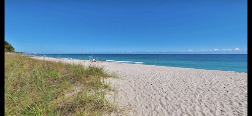 Ultimate Palm Beach Island with Grande Terrace