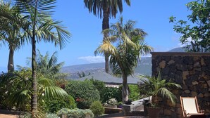 A tropical garden with palm trees and a stone wall. - Finca La Masía - Relax - Vistas - Internet (La Orotava)