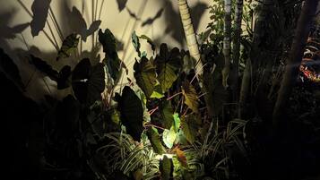 DĂ©tail de lâextĂ©rieur