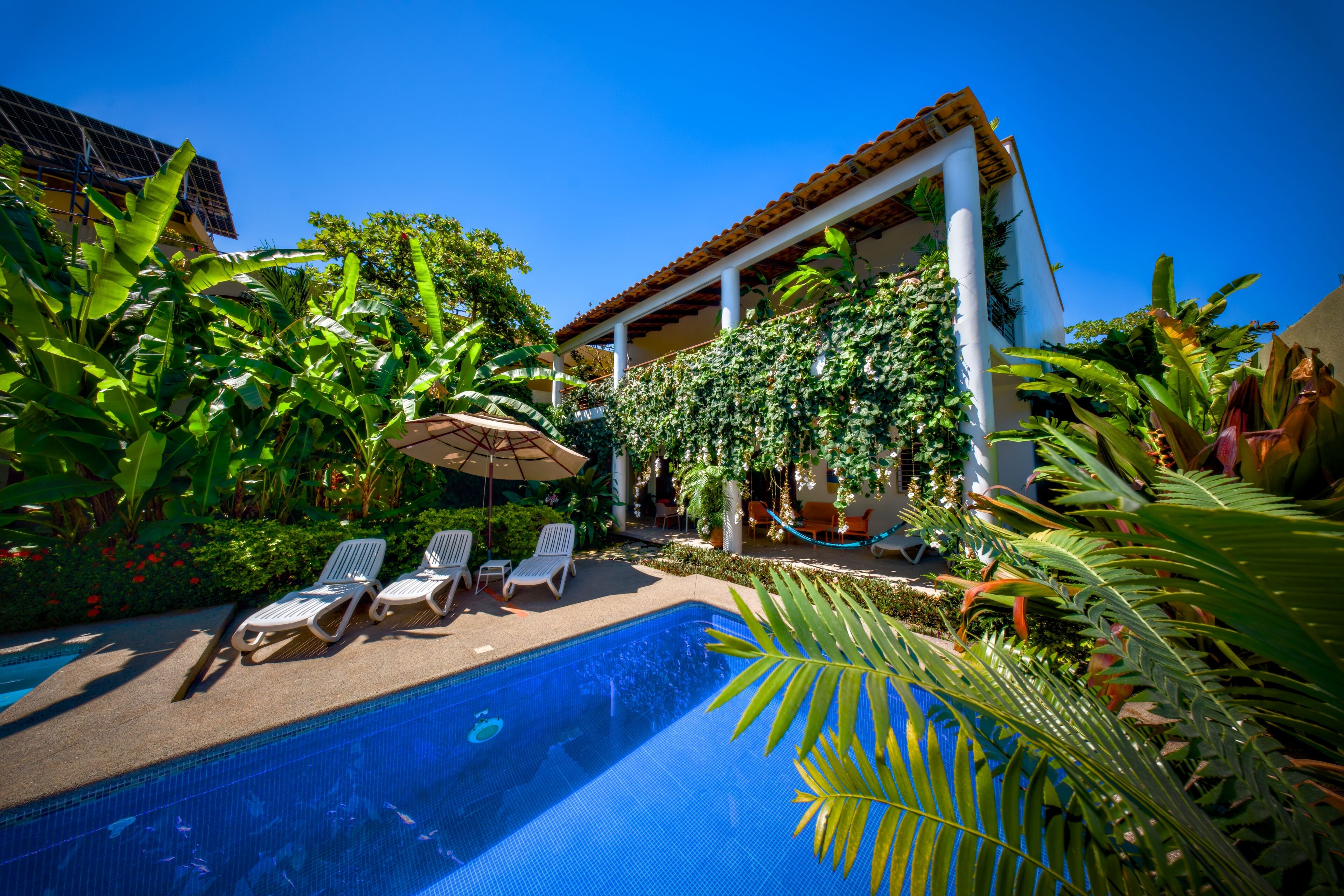 Piscina a l'aire lliure 
