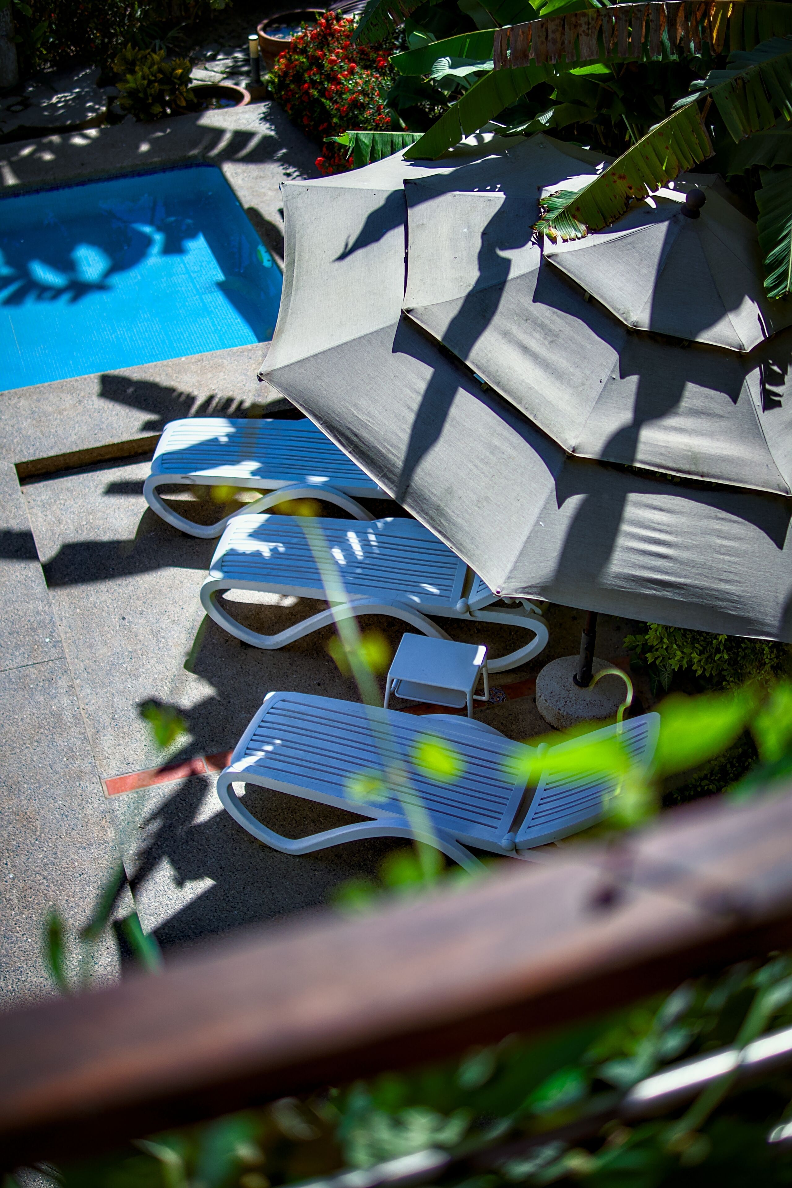 Ein Poolbereich mit Liegestühlen und Sonnenschirmen.