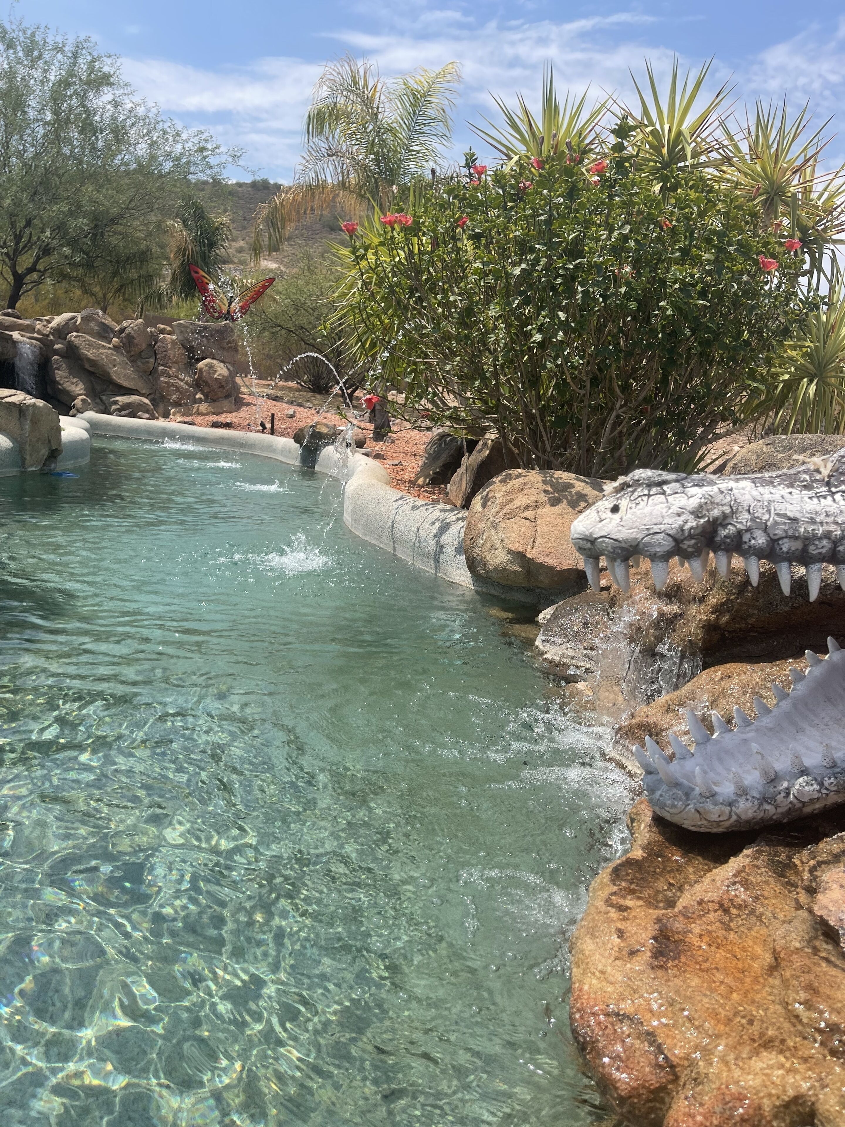 A clear pool with rocks and a waterfall, surrounded by greenery and desert plants.
