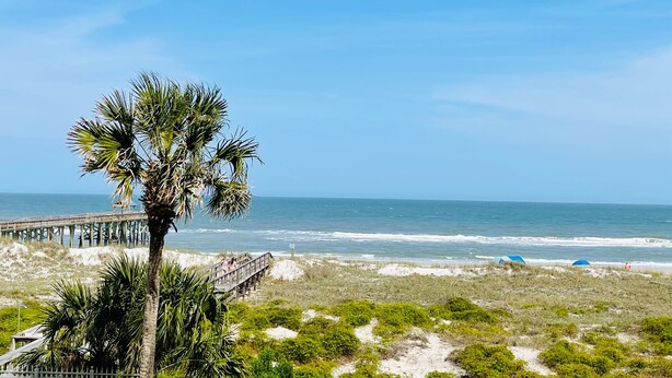 A beach with a palm tree, a pier, and the ocean. - Amazing Pool/Oceanfront Views from this Second Floor Condo at Amelia by the Sea! (Fernandina Beach)