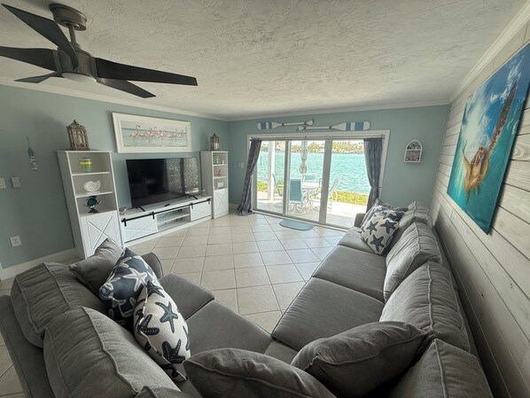 Smart TV, DVD player, books, video library