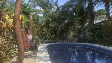 A swimming pool surrounded by tropical vegetation and a wooden fence.