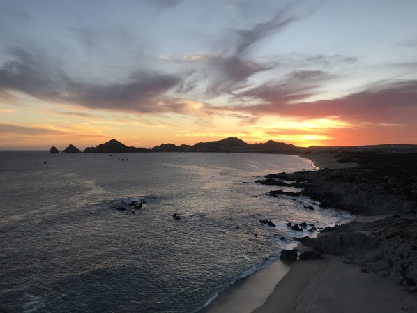 Camastros y toallas de playa 