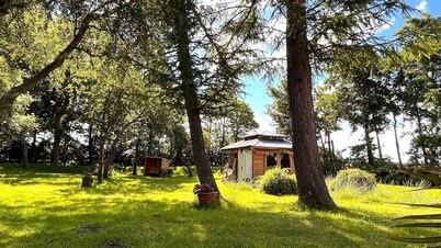 Alte Schule Niebüll