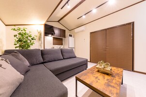 Televisión de pantalla plana, Netflix, servicios de streaming