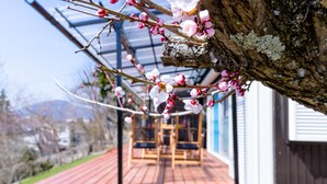 En træterrasse med stole og et bord, et træ med blomstrende grene og en bygning i baggrunden.