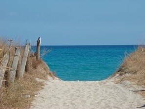 On the beach