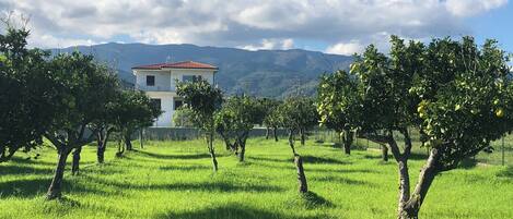 A two-story building with a red-tiled roof, surrounded by lush green grass and fruit trees.