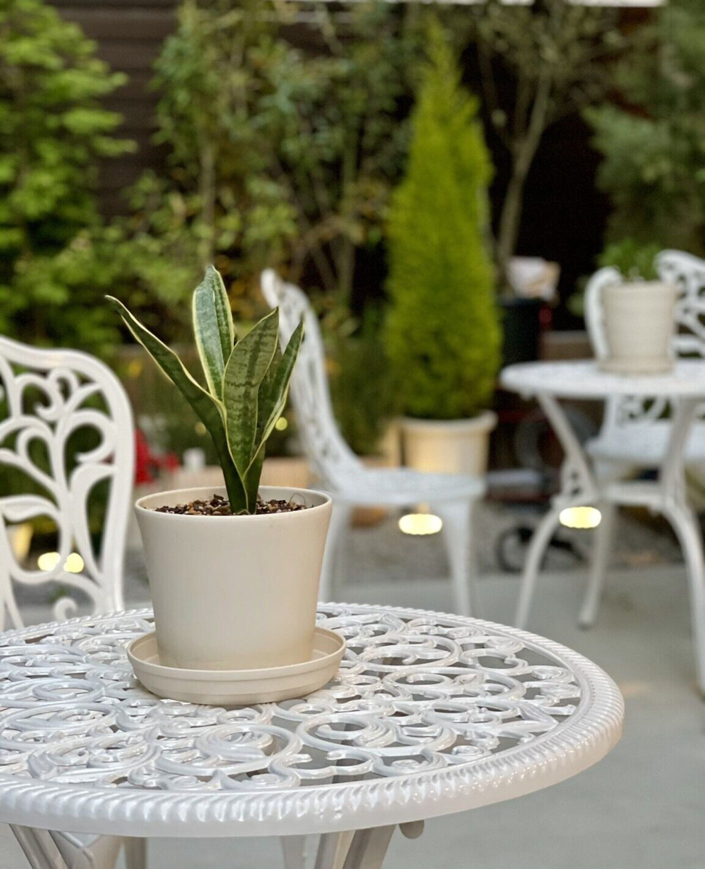 Une table blanche pour l’extérieur, avec une plante en pot.