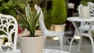 Une table blanche pour l’extérieur, avec une plante en pot.
