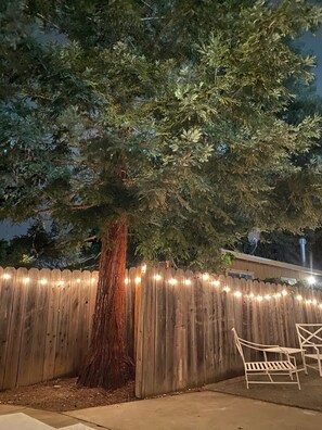 Ein Holzzaun mit Lichterketten, ein Baum und eine Bank.