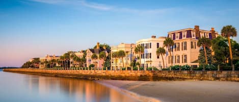 Un hotel frente al mar con una hilera de edificios a lo largo de la costa, con balcones y palmeras.