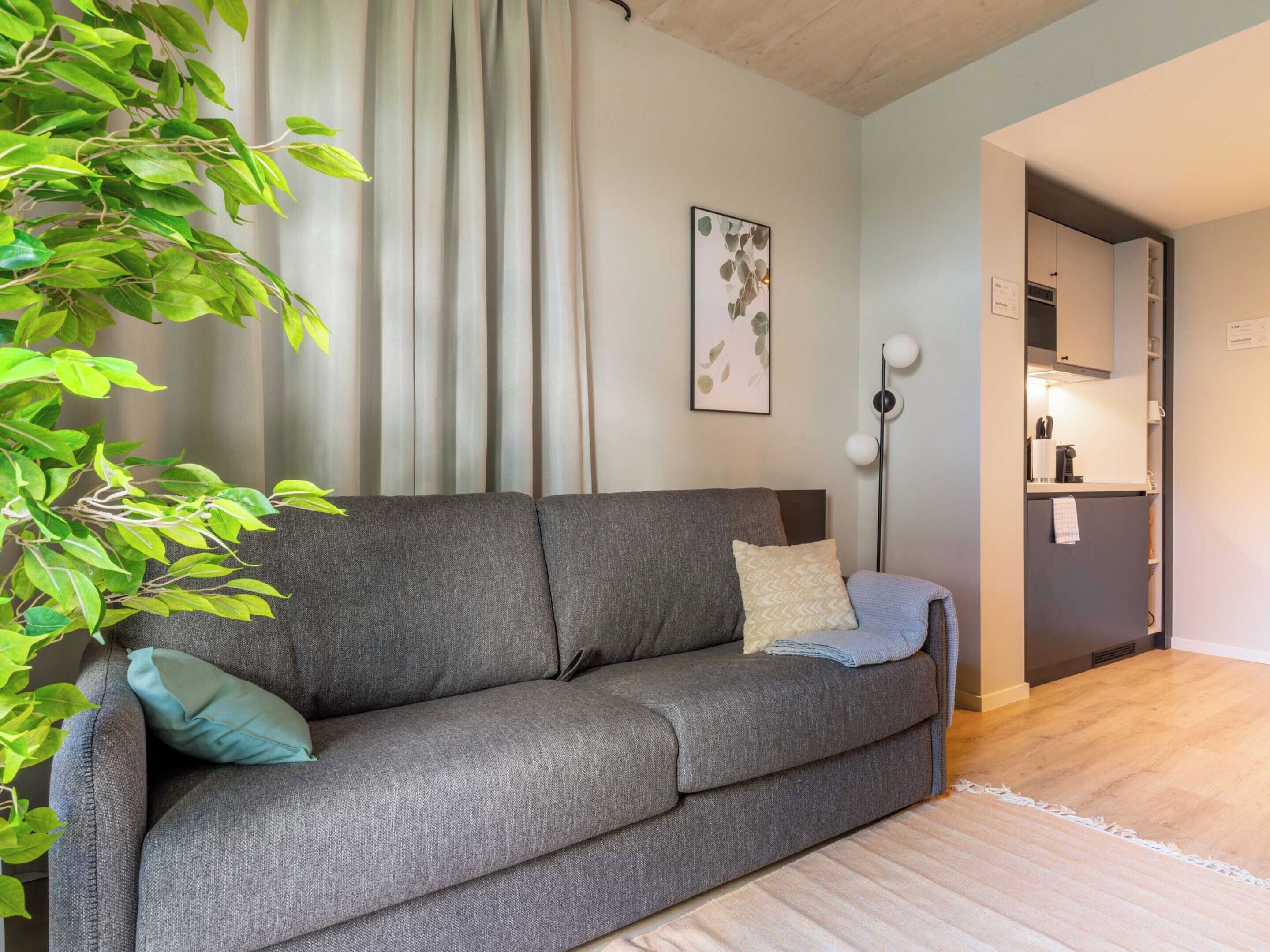 A modern living room with a grey sofa, a small plant, and a framed artwork on the wall.