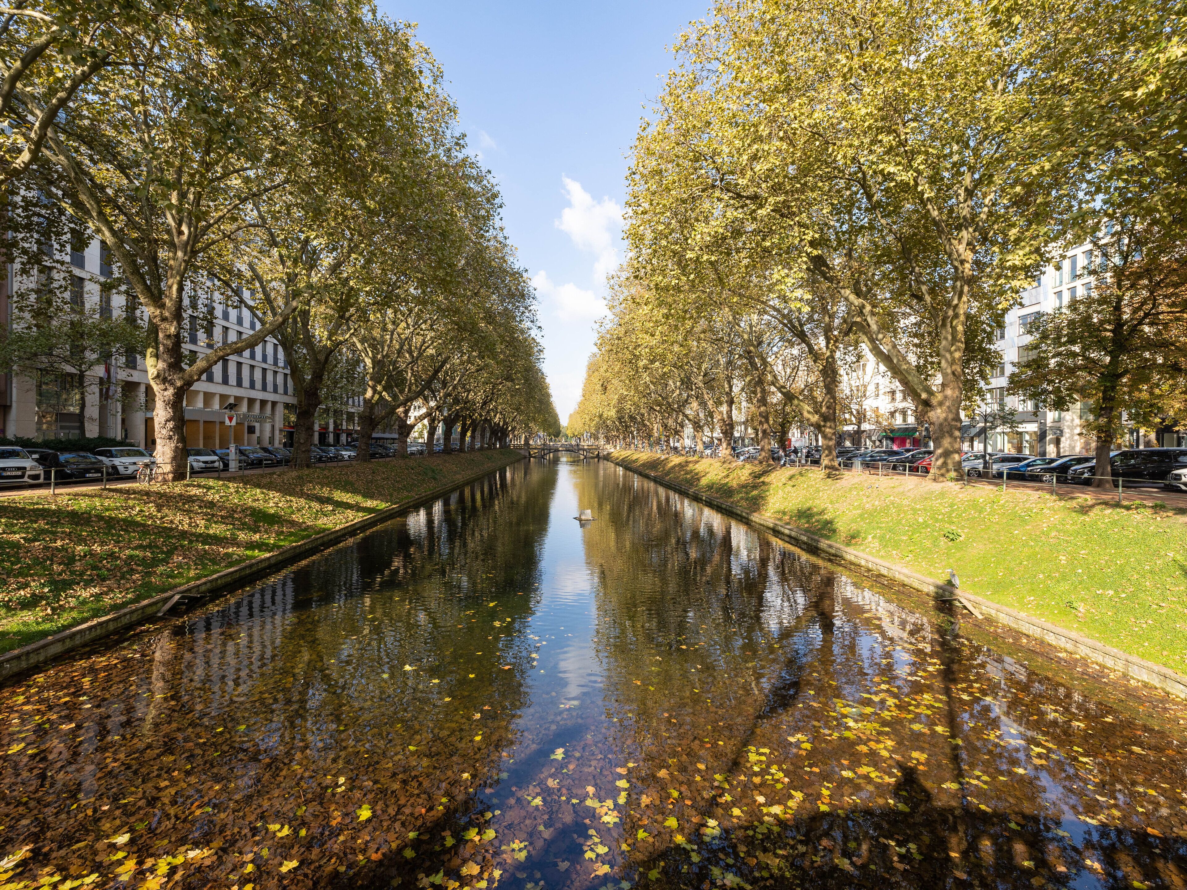 A canal lined with trees and buildings, reflecting the sky and surrounding structures.