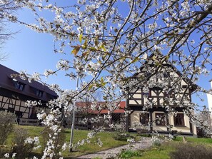 Un edificio tradicional con un camino de jardín que lo lleva a él, rodeado de árboles florecientes.
