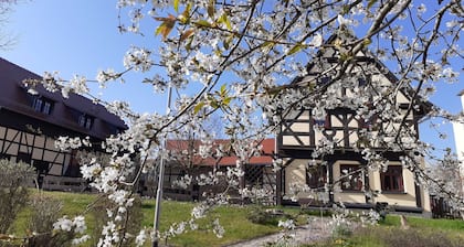 DZ Kirchturmblick - Lavendelhof - Die idyllische Landpension