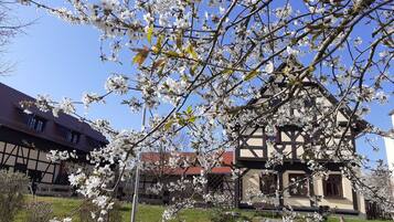 Un bâtiment traditionnel, avec un jardin et un chemin qui y mène, le tout entouré d’arbres en fleurs.