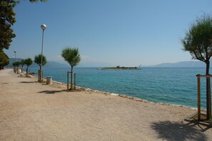 Ranta