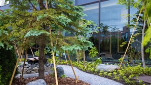 Un bâtiment moderne à la façade vitrée, entouré d’un jardin aménagé avec des rochers, des allées de gravier et diverses plantes.