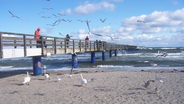 Een steiger die zich uitstrekt in de zee, met mensen die erop lopen, vogels op het strand en golven die tegen de kust spoelen.