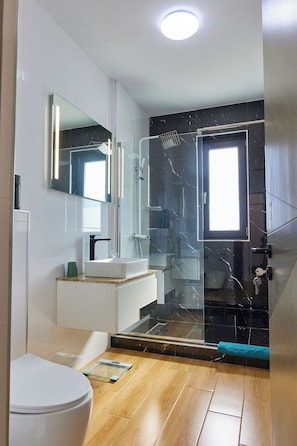 A modern bathroom with a glass shower enclosure, a white sink, and a mirror above it.