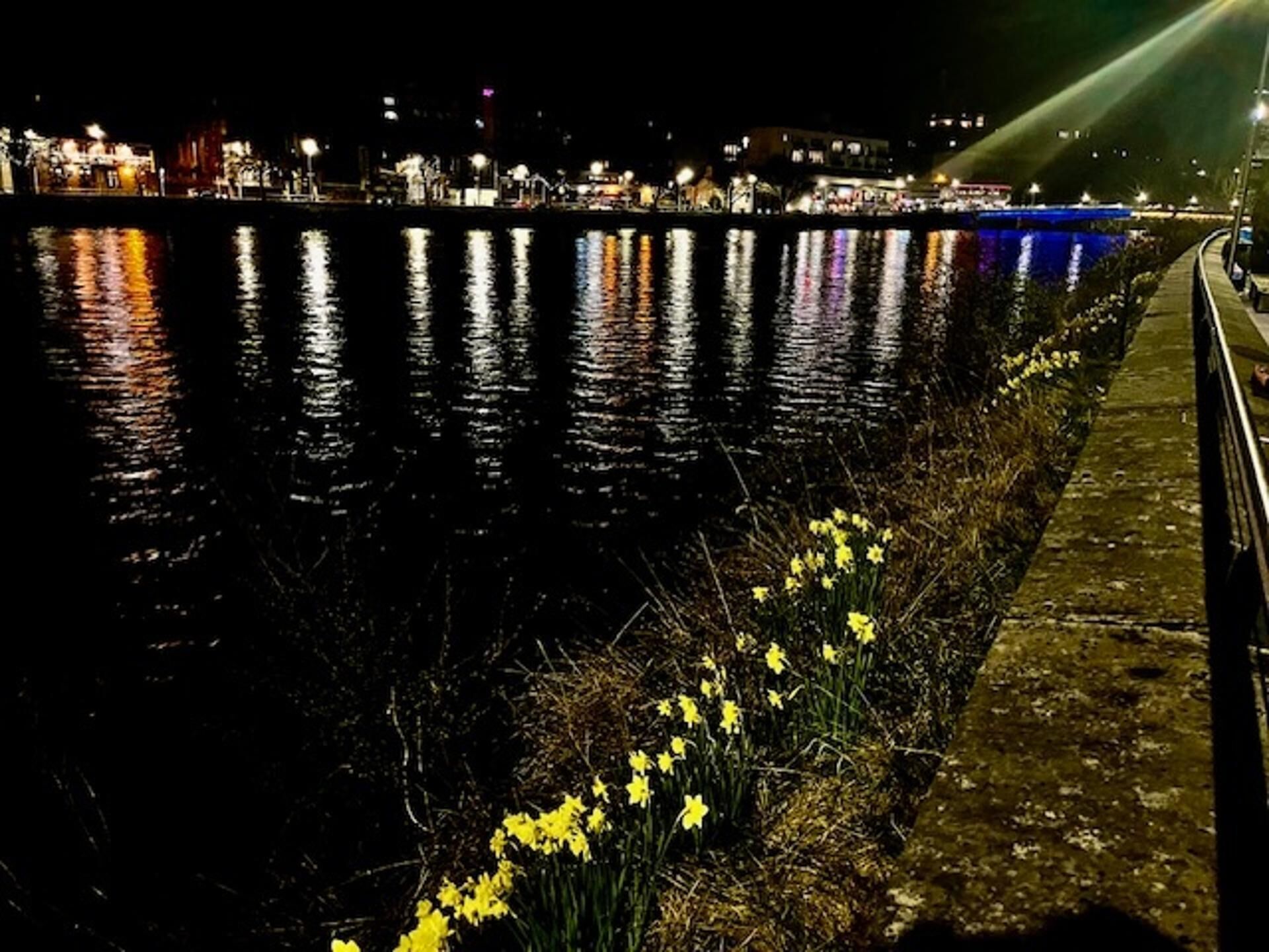 Vista nocturna de un río con reflejos de luces, una acera con flores amarillas y un paisaje urbano distante.