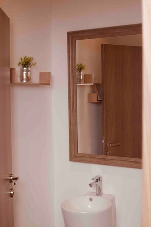 A bathroom with a wooden door, a white sink, and a mirror above it. There are two small shelves with plants and a wooden box.