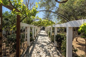Jardines del alojamiento