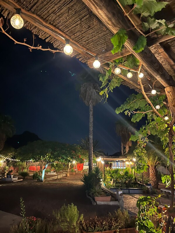 An outdoor area with a thatched roof, string lights, and various plants.