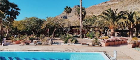 Una piscina al aire libre, una piscina climatizada