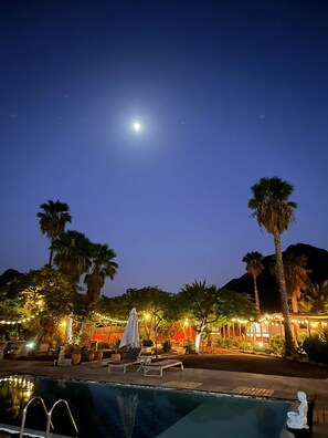 Outdoor pool, a heated pool