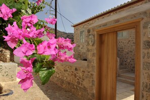 Garden - Gaia Hydras (Hydra)