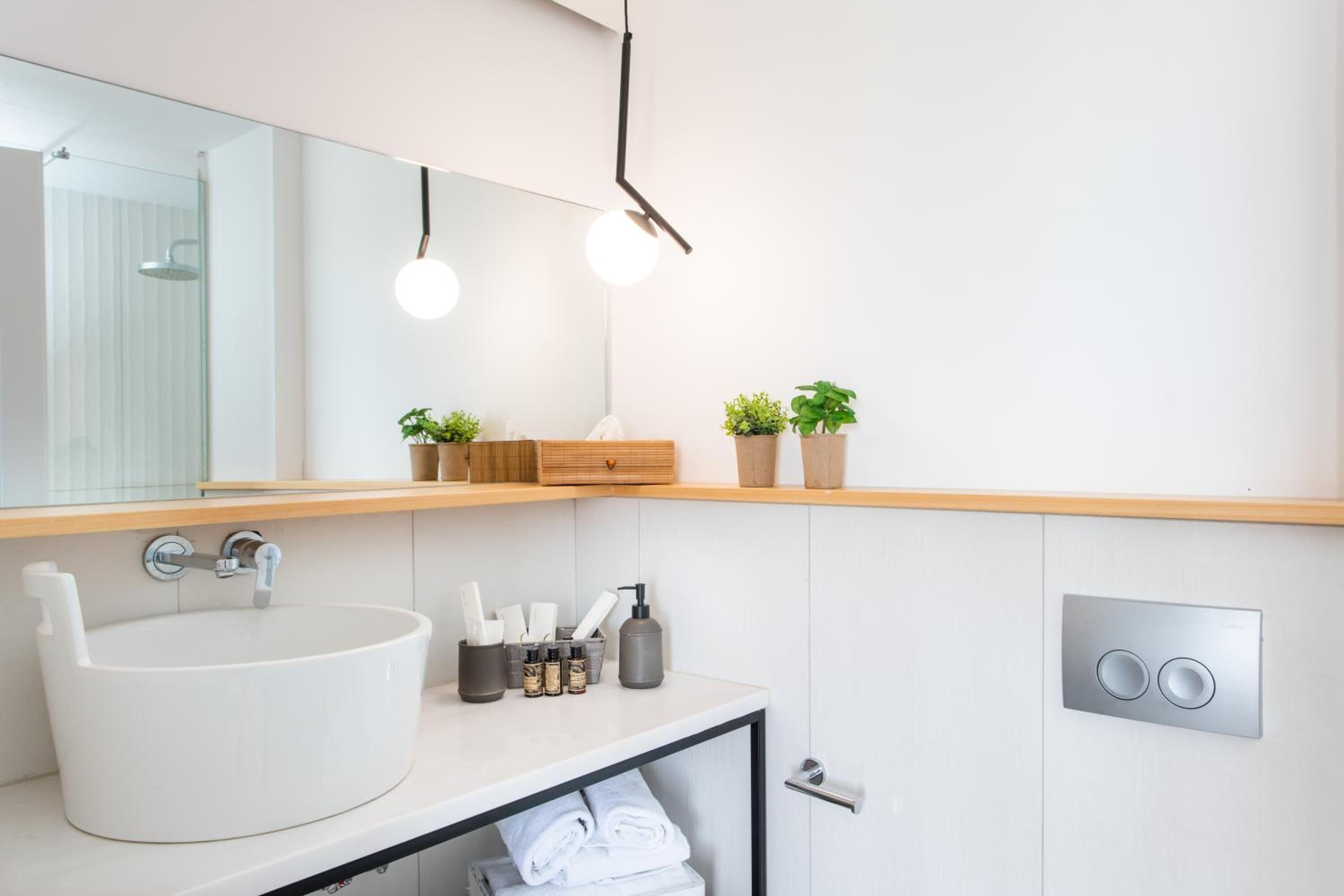 A modern bathroom with a large white sink, a mirror, two wall-mounted lights, and a wooden shelf with plants.
