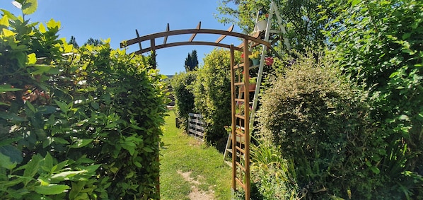 A garden pathway with a wooden archway and a ladder.