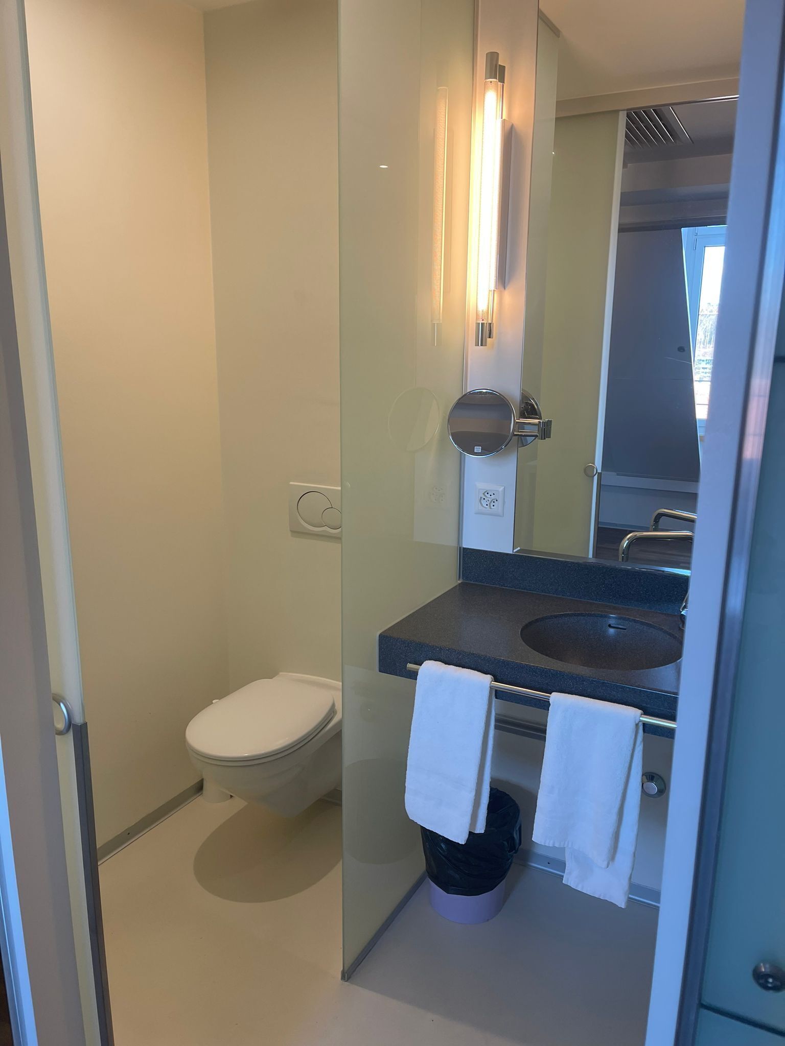 A modern bathroom with a glass partition, a toilet, a sink, and a mirror.