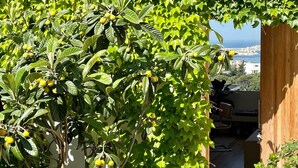 Un jardín con una pérgola cubierta de hojas verdes, un sendero que lleva a una puerta de madera y vista al mar al fondo.