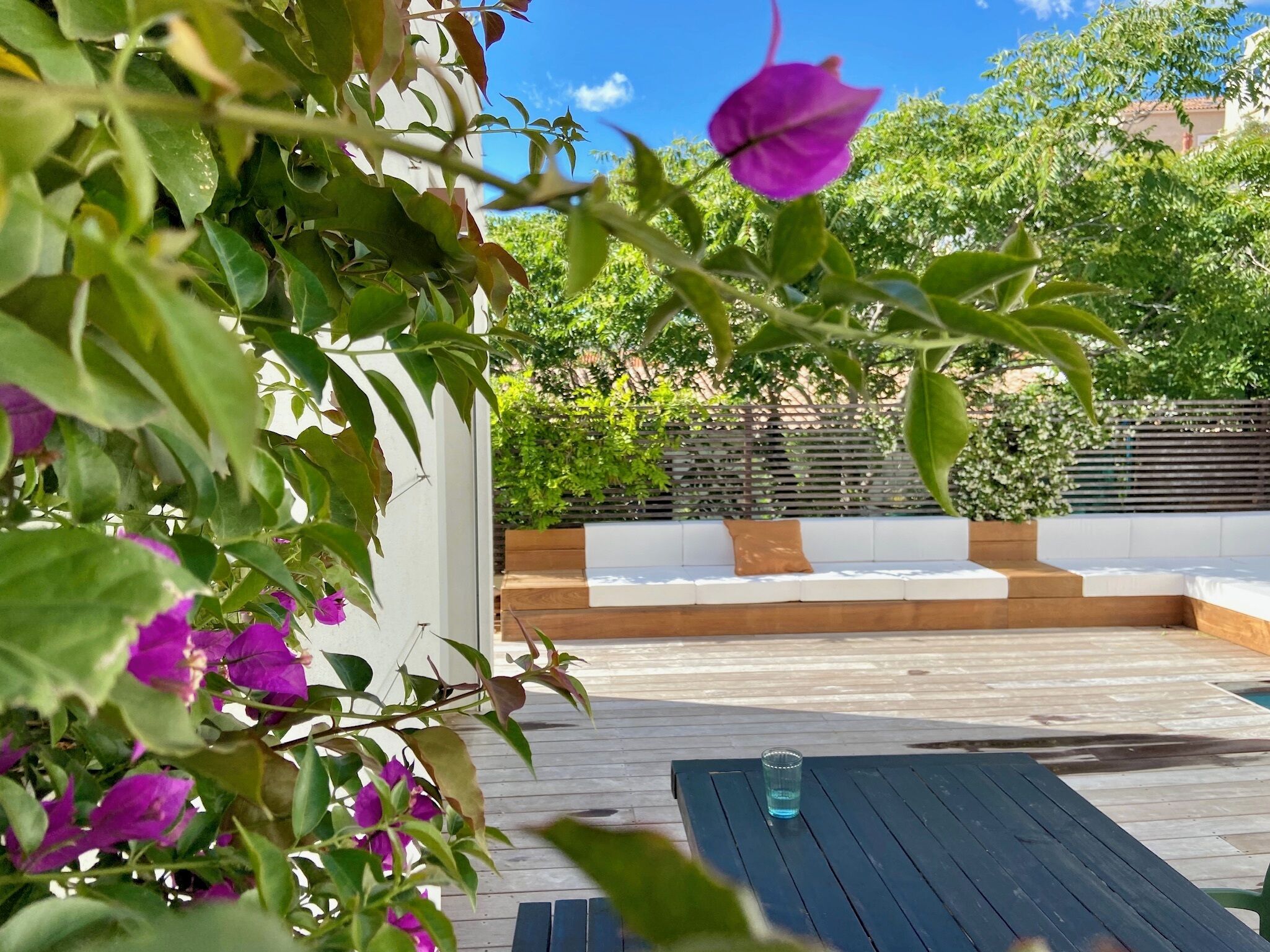A wooden deck with a glass of water, surrounded by lush greenery and a white wall.