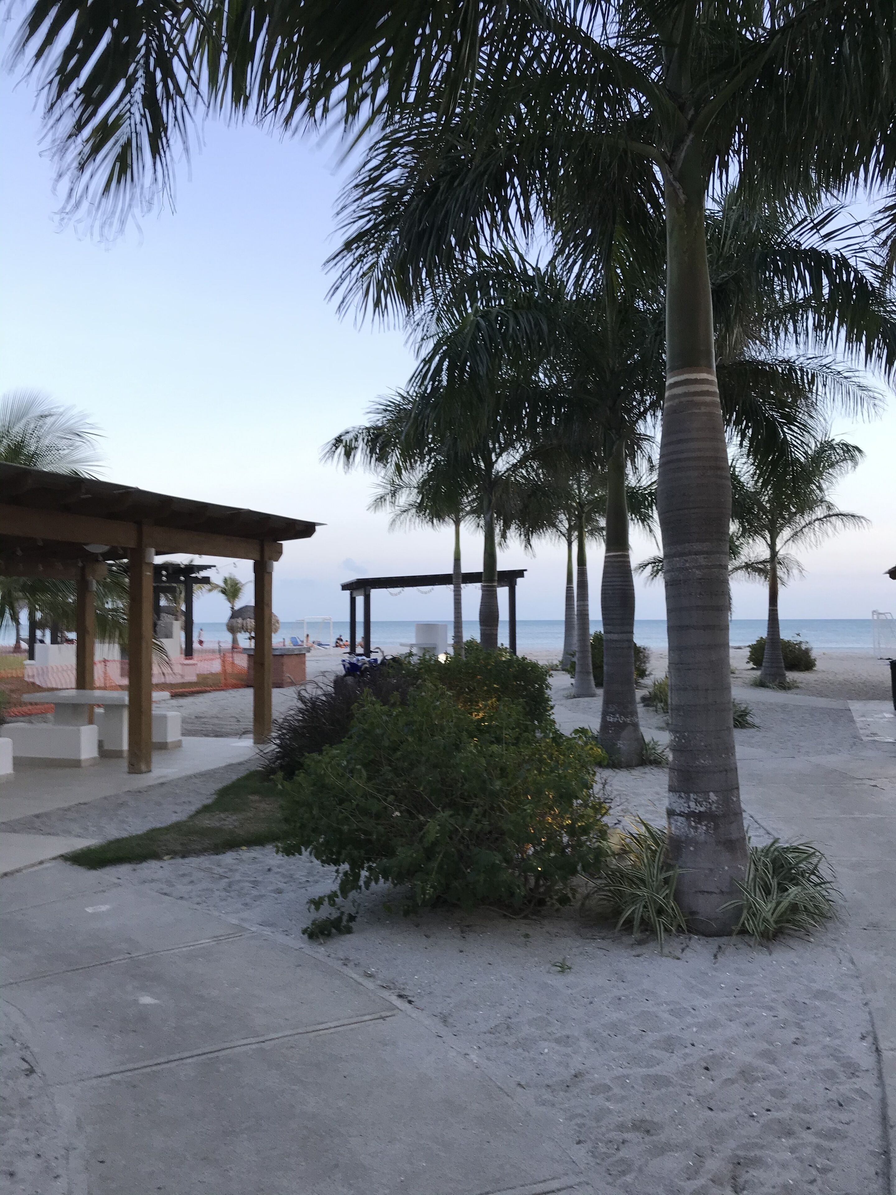 A beachside area with a wooden gazebo, palm trees, and a concrete walkway.