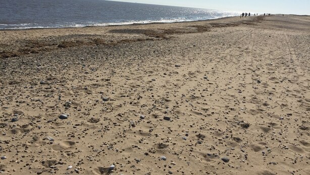 A beach with a sandy shore and scattered rocks. - 2 bed dog Friendly Chalet on Sunbeach Scratby (Great Yarmouth)