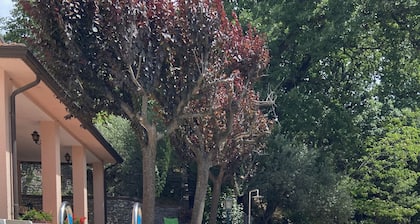 House surrounded by oak trees, ideal for families who like to relax.