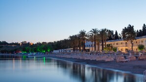 A beachfront hotel with rows of palm trees and beach umbrellas. - Ladonia Hotels Mio Bianco  (Bodrum)